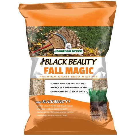 Enjoy a thicker, healthier lawn with Black Beauty Fall Magic grass seed.